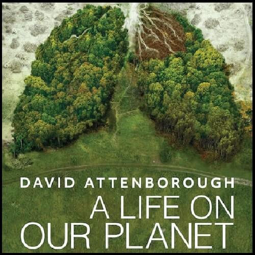 A Life on Our Planet The eNvironmentals