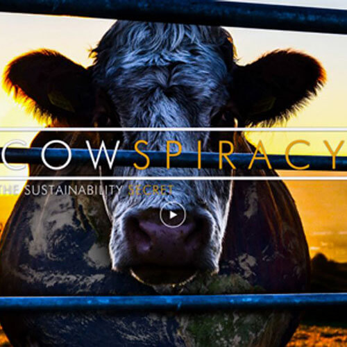 Cowspiracy The eNvironmentals