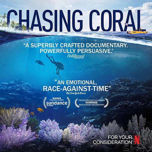 The eNvironmentals Chasing Coral